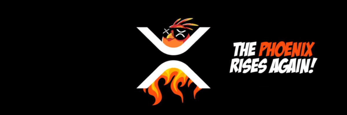 moonphnix's tweet photo. @phnix_xrp @justmikev2 🔥 https://t.co/SRthebKQOM