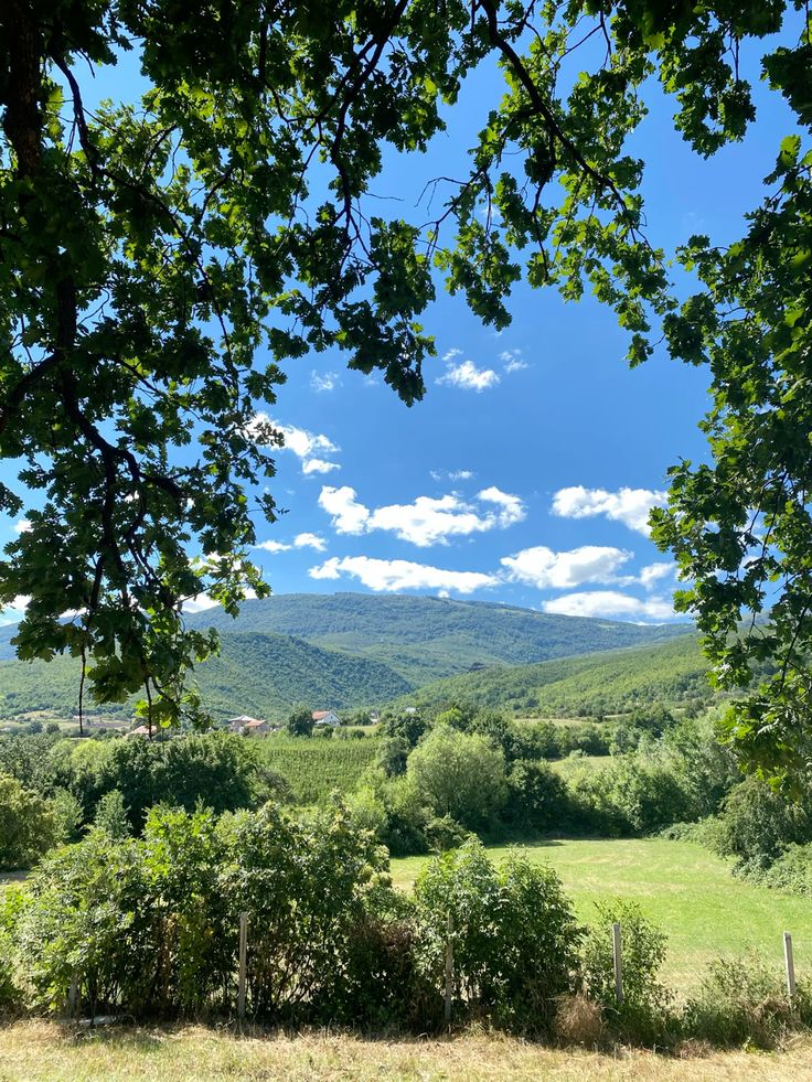 raducu_nicoleta's tweet photo. 🌿🍃🌿Happy Friday 🌿🍃🌿 https://t.co/Xh2hhWvBM9