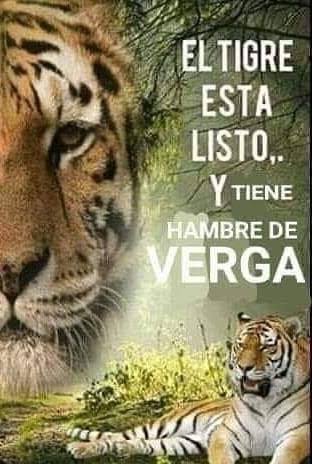 kmilosierra2's tweet photo. @Carlosbel71 @Colombia_Xtra https://t.co/wODopercMA