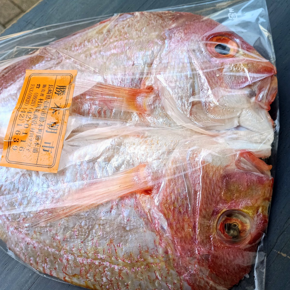 island_brewery's tweet photo. 地元・勝本の朝市で
鯛の開きを仕入れました！

きれいな鯛！🐟🐟🐟

オンラインストアで
ビール&amp;鯛の開きのセット
間もなく販売開始します！

魚に合うビールと
壱岐の旨い魚！
絶品です！ https://t.co/QKIYg3zJ26