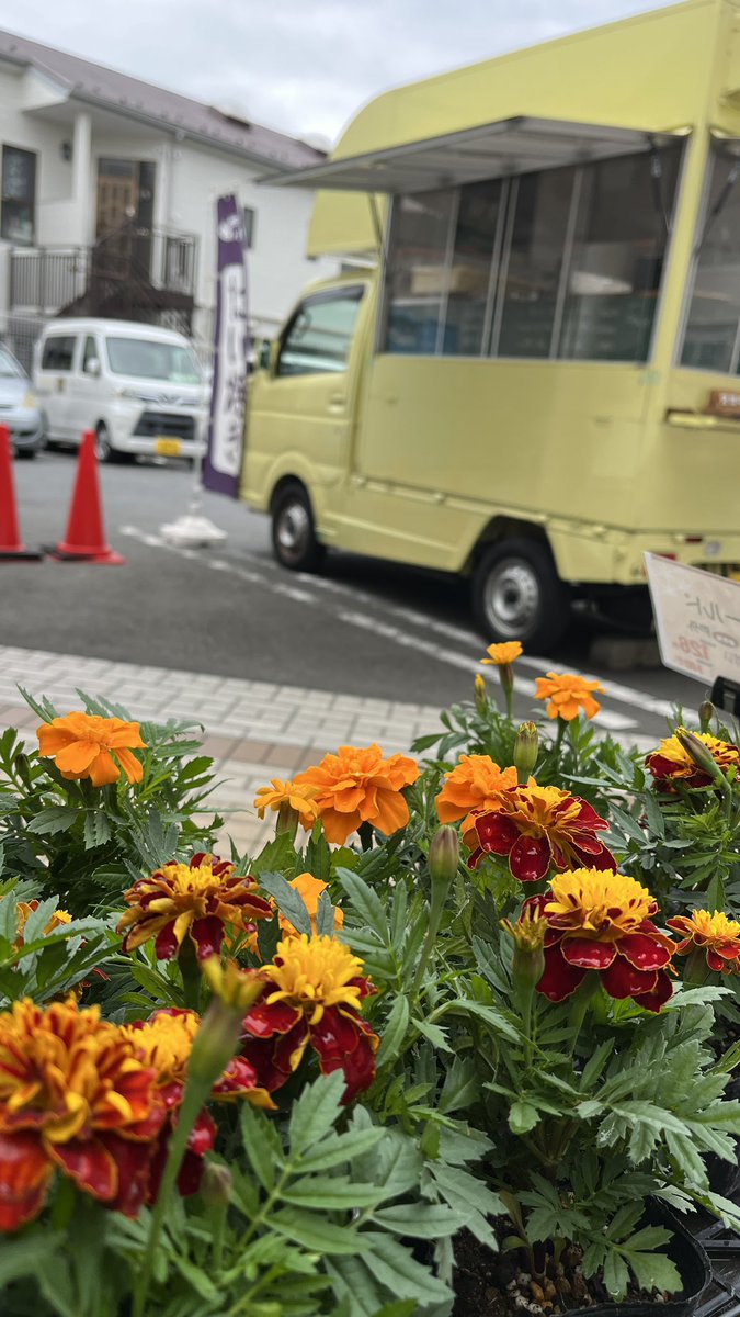 taiyaki3t's tweet photo. おはようございます😃昨夜は、収穫したじゃがいもでポテトサラダにしましたよ。

本日もフジスーパー芹が谷店様に来ています。限定は、抹茶あん。ご来店お待ち申し上げます🙇 https://t.co/ArxwikQ6G1