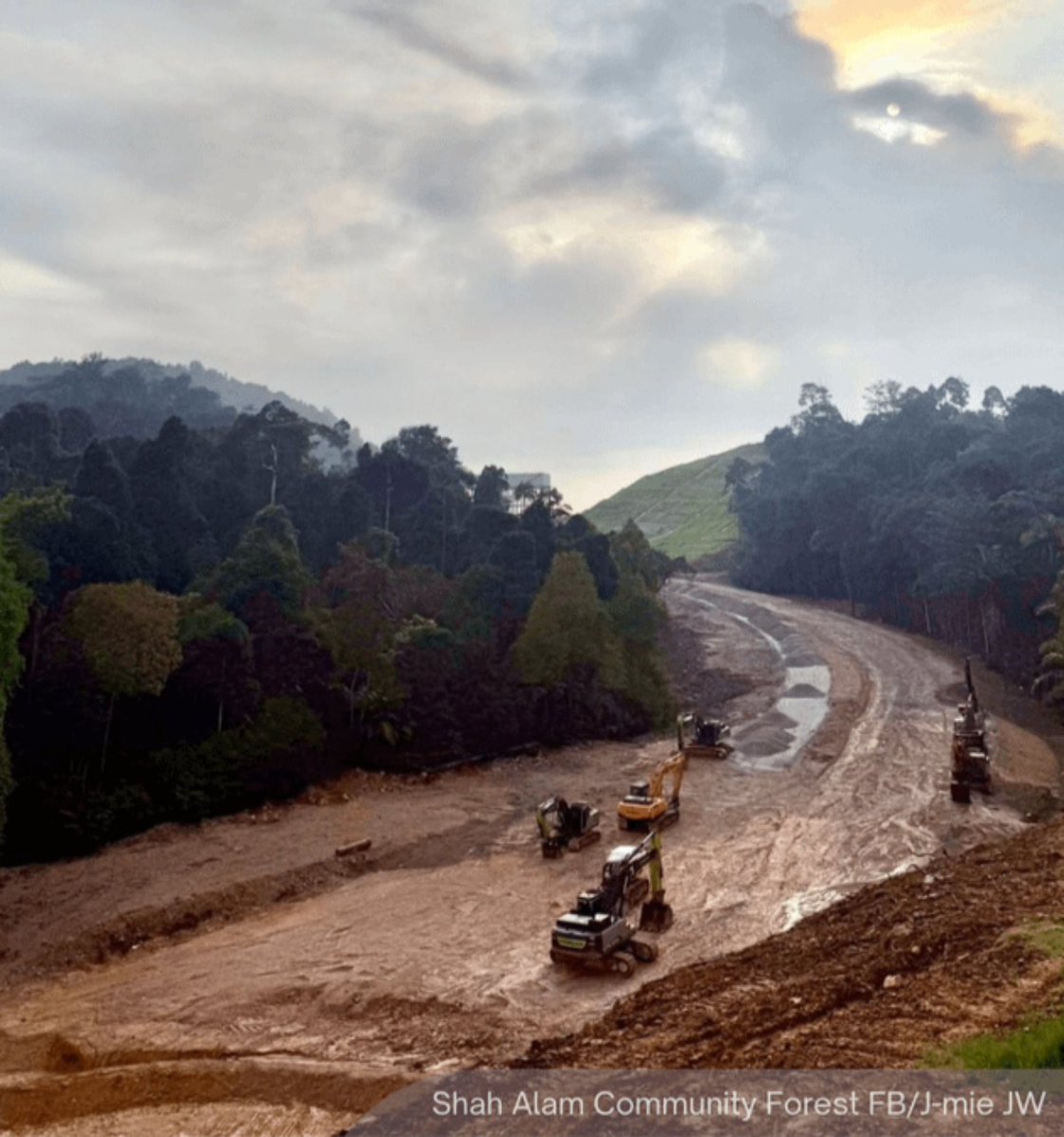 NewsBFM's tweet photo. Shah Alam Community Forest Society is pursuing a rare Federal Court review after losing its bid against the de-gazettement of part of the Bukit Cherakah Forest Reserve.

"If state governments are legally allowed to retroactively excise any forest reserve, then what is the use of safeguards? No forest is safe," founder Alicia Teoh told BFM.

https://t.co/3SWBcLRtEj

🧵1