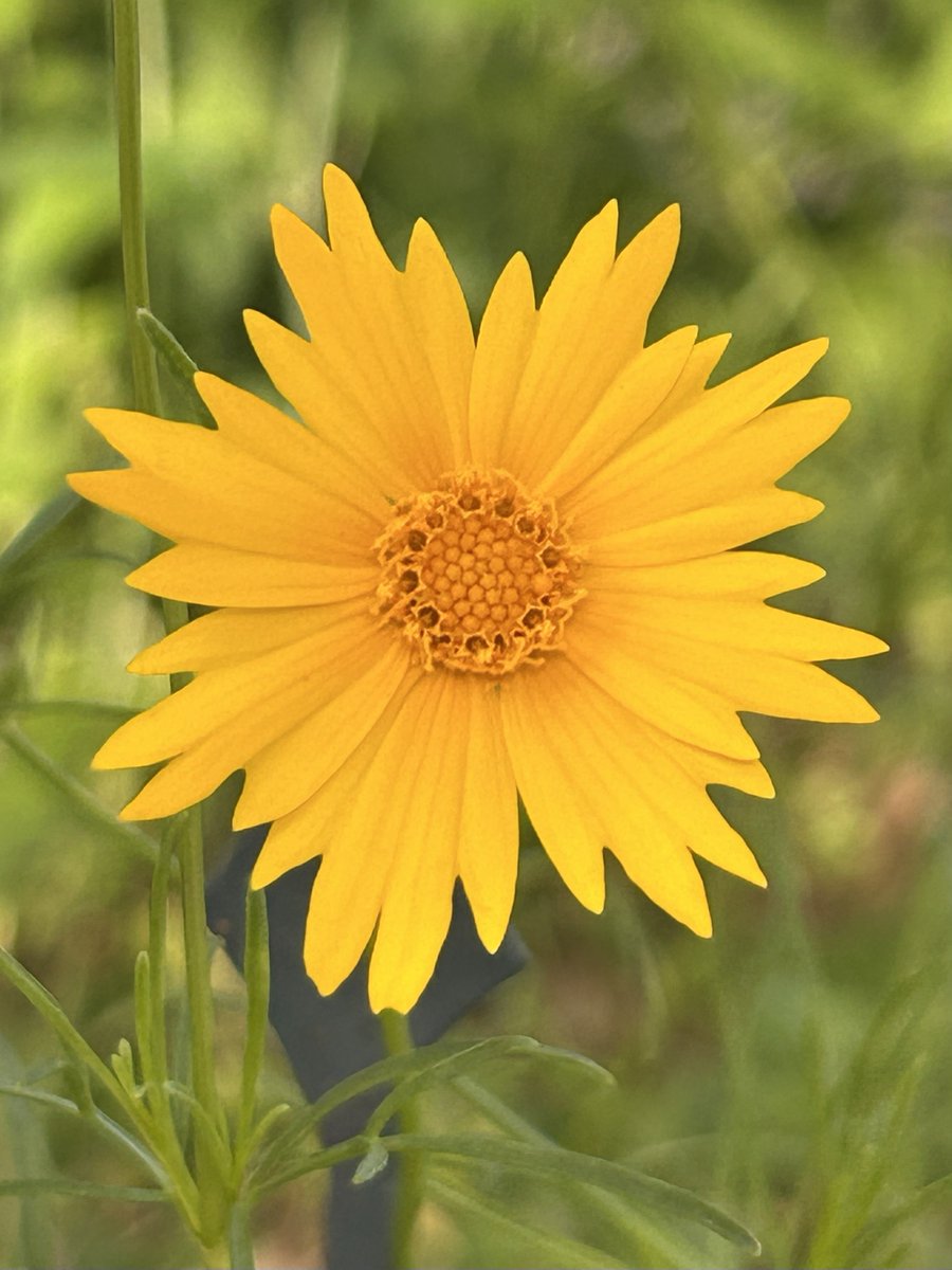 ChampBailey03's tweet photo. Find beauty every day.💛 https://t.co/Vfu1rQ6xIz
