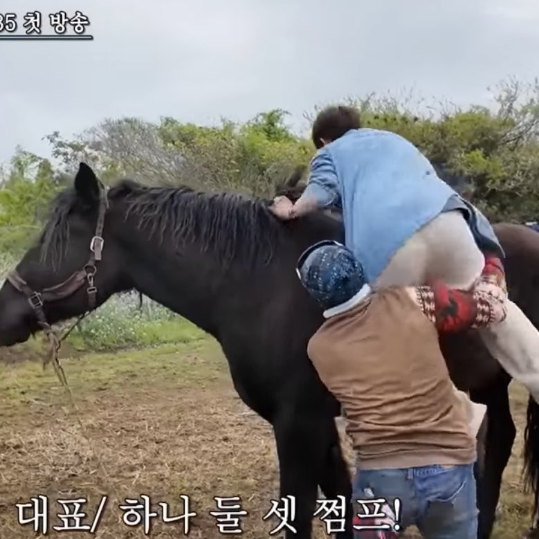 kaisoohoe's tweet photo. Ain’t nobody looking at that damn zebra 😒😭 https://t.co/p3XHlqNwJ6