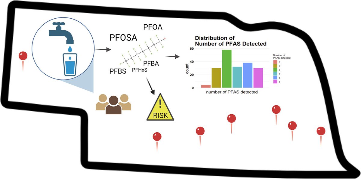 HehaEls's tweet photo. What are the health risks associated with PFAS mixtures in drinking water?

A study characterized PFAS mixtures in rural Nebraska and evaluated potential human health risks.

📗 https://t.co/TfIFZDcWlg
#PFAS #DrinkingWater #EnvironmentalHealth https://t.co/HzxmHVoOrD