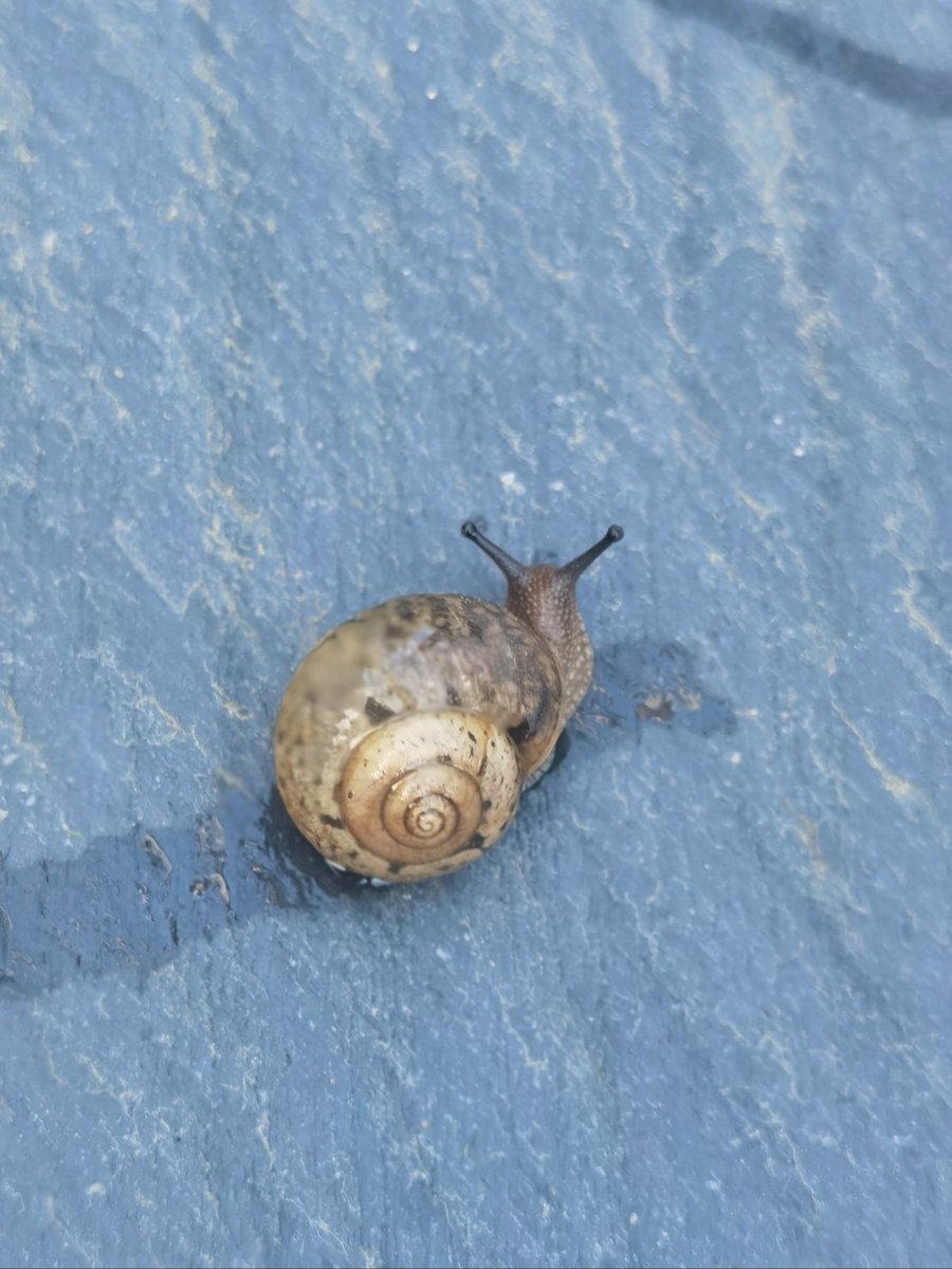 josefpejchl's tweet photo. Growth hits when you stop waiting for the "right time" and start turning small, daily steps into something real. No rush, no perfection—just moving forward. https://t.co/CYfJv9TPx7
