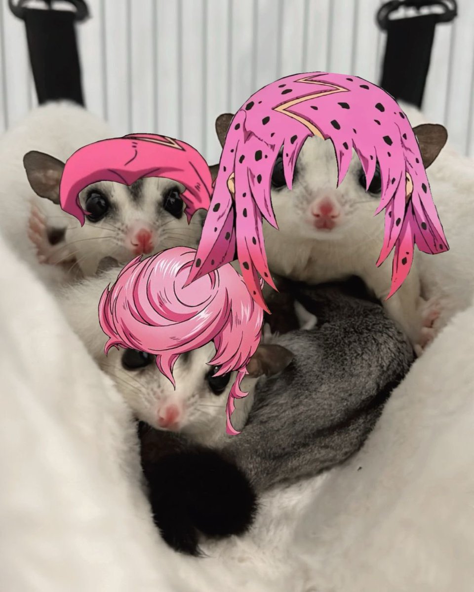 dynamobrando's tweet photo. @kawaiiikuna LIKE AWWW https://t.co/kN6SPl77if