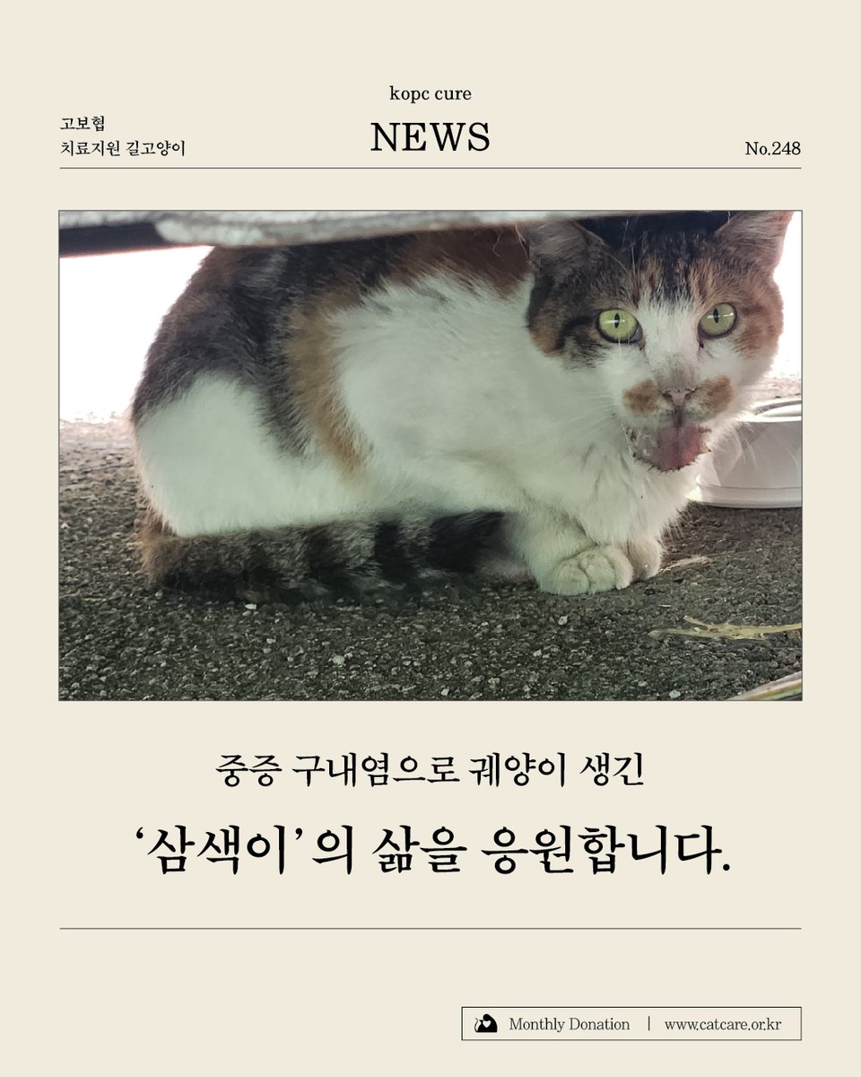 kopc2005's tweet photo. [고보협지원길냥이] 중증 구내염으로 궤양이 생긴 ’삼색이‘의 삶을 응원합니다.
한국고양이보호협회 후원은 길고양이의 협회구조, 시민구조 및 치료, TNR과 같은 직접적인 길고양이의 지원에 사용됩니다.
https://t.co/oaZ081eqqi https://t.co/pCBvumZ244
