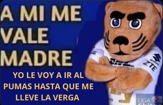 iTsObitoEz's tweet photo. Ya que más queda pumas 🫩 https://t.co/7pAsk9tMze