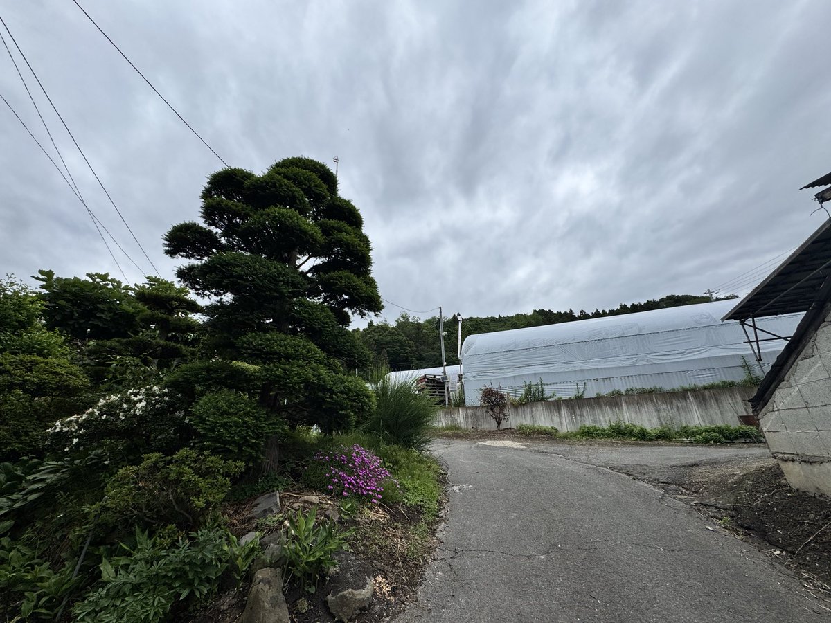 IMOriginal52's tweet photo. 群馬県昭和村
本日さむぅございます。
暖房つけました https://t.co/JTGxi20U6J
