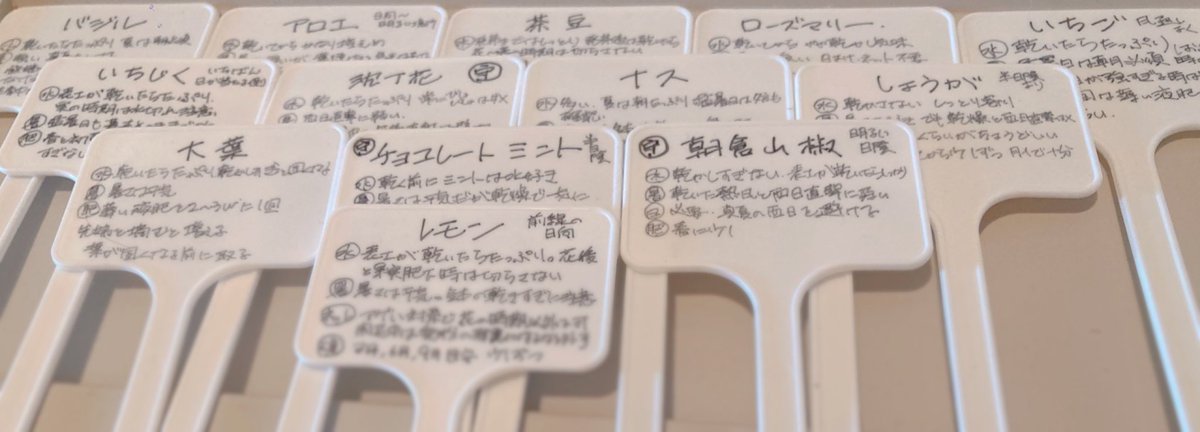 TASKLABoratory's tweet photo. @kurobey 山椒は水を切らしてしまいがちなので、気をつけつつ若芽は白味噌と混ぜたり山椒塩にさせてもらったりしています
沈丁花はまず来年に期待ですね！

今年はあんちょこを作って対策します

1️⃣ https://t.co/7WKohJr7Fx