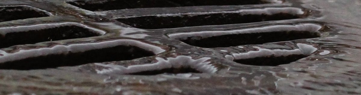 dade_senior's tweet photo. Out for a rainy day walk with my camera https://t.co/zvveP0TY3C