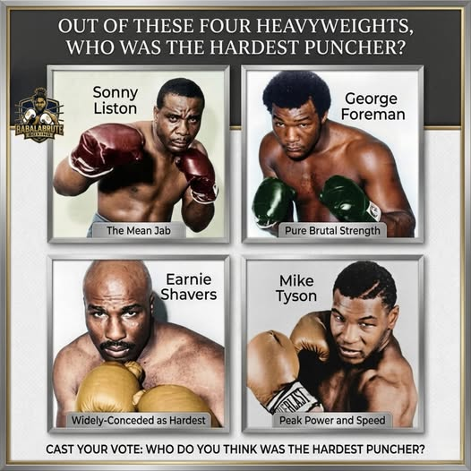 Scott7915's tweet photo. 4 legends. 4 different kinds of power.
Sonny Liston had the terrifying jab.
George Foreman had raw crushing strength.
Earnie Shavers was feared by almost everyone he hit.
Mike Tyson combined speed, explosiveness &amp; knockout power like nobody else."
Who are you picking?  Shavers! https://t.co/KD0XzrYjdu