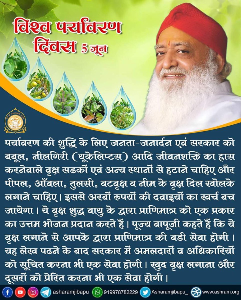 AmdAshram's tweet photo. On #WorldEnvironmentDay let us follow the teachings of Sant Shri Asharamji Bapu &amp; help restore environmental balance through initiatives like Har Ghar Vrinda Abhiyan, Nilgiri-Babool Hatao Abhiyan, Paryavaran Bachao &amp; more. Let's Go Green &amp; protect our environment for future. https://t.co/LqNUmfQQ9o