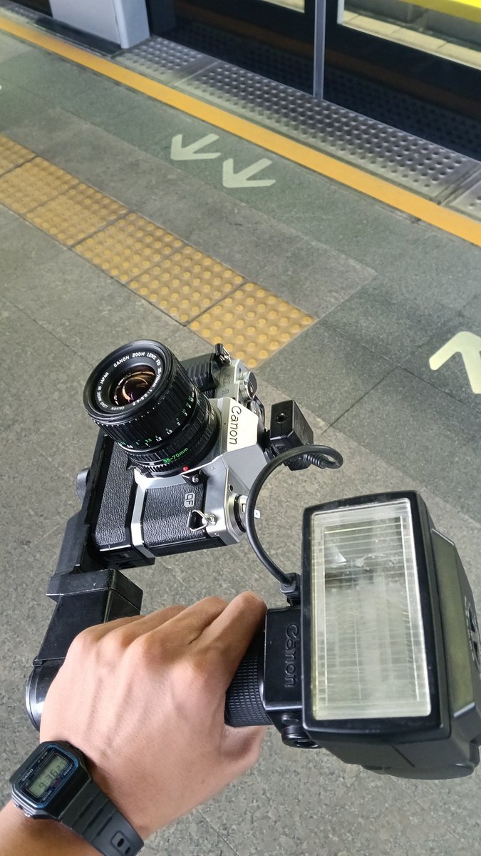 Reeity 📸 ✈️ tweet media