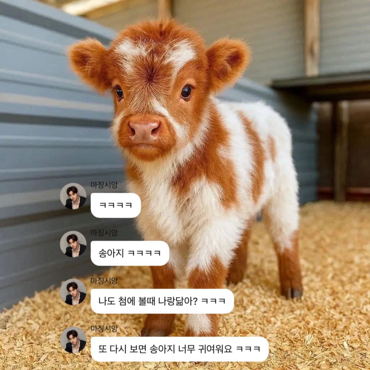 mi1kppang's tweet photo. 송아지 ㅋㅋㅋㅋ
나도 첨에 볼때 나랑닮아? ㅋㅋㅋ
또 다시 보면 송아지 너무 귀여워요 ㅋㅋㅋ https://t.co/vkWdCXUWIE