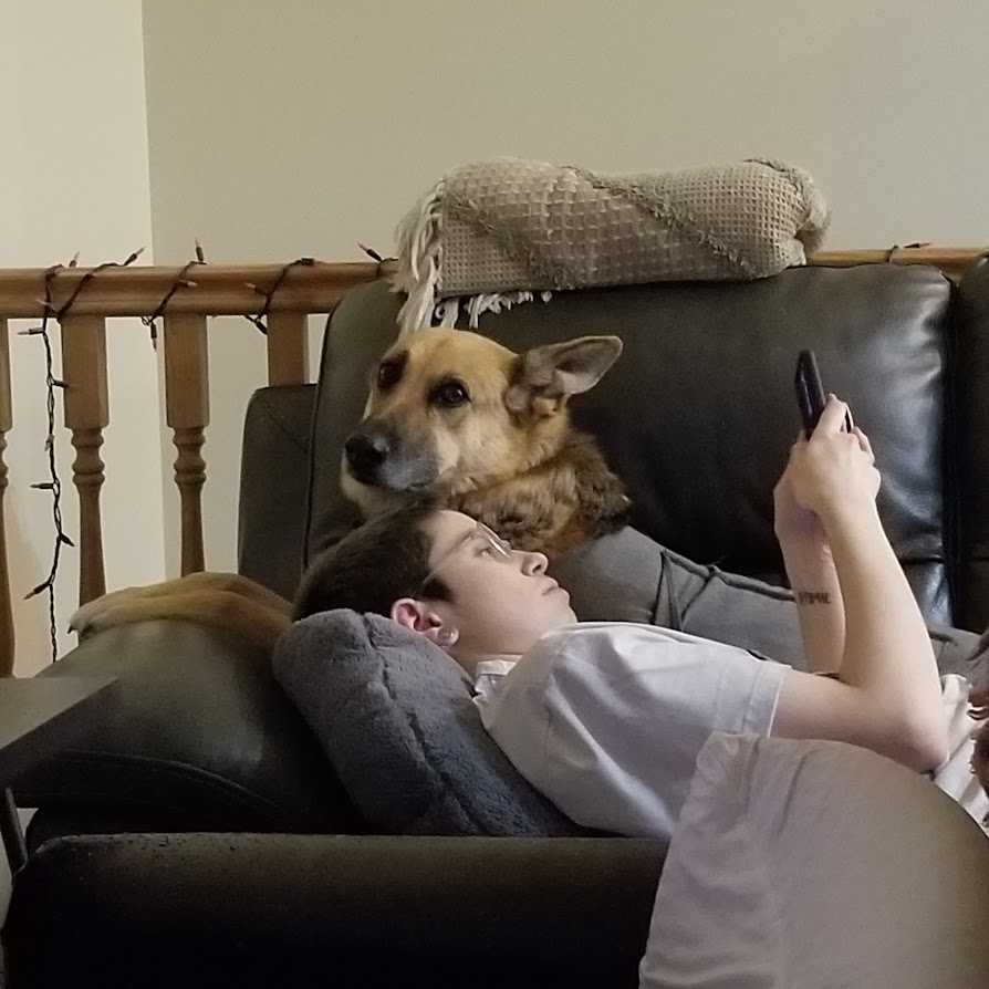 voidaflame's tweet photo. she had really bad anxiety and so we really leaned on each other a LOT. she was my baby. https://t.co/bgIwe0bleP