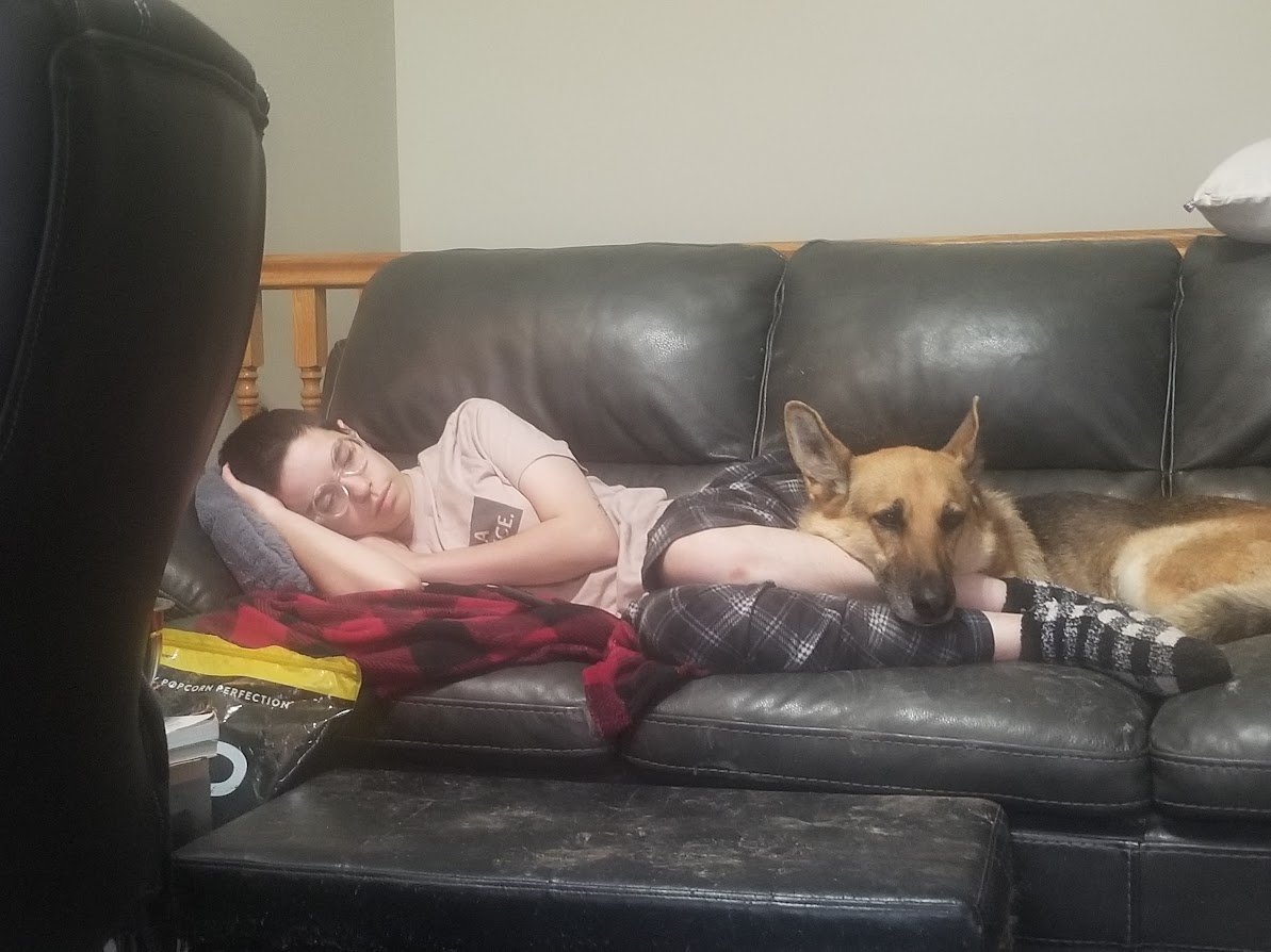 voidaflame's tweet photo. she had really bad anxiety and so we really leaned on each other a LOT. she was my baby. https://t.co/bgIwe0bleP