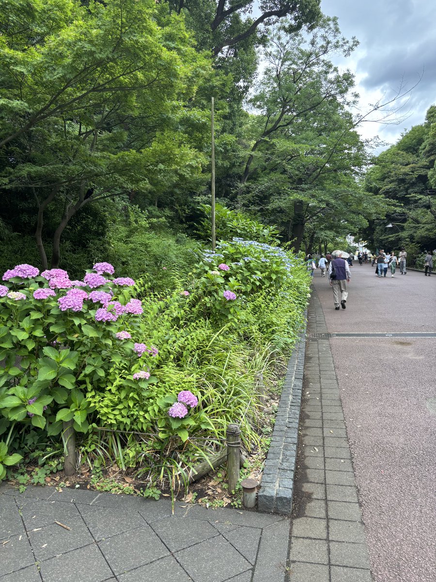 23Wards's tweet photo. 卒酒3457日

毎日曇り気味のお天気
そんな季節だよねー
今日も頑張ろう！
#断酒 https://t.co/hPby7bVXLm