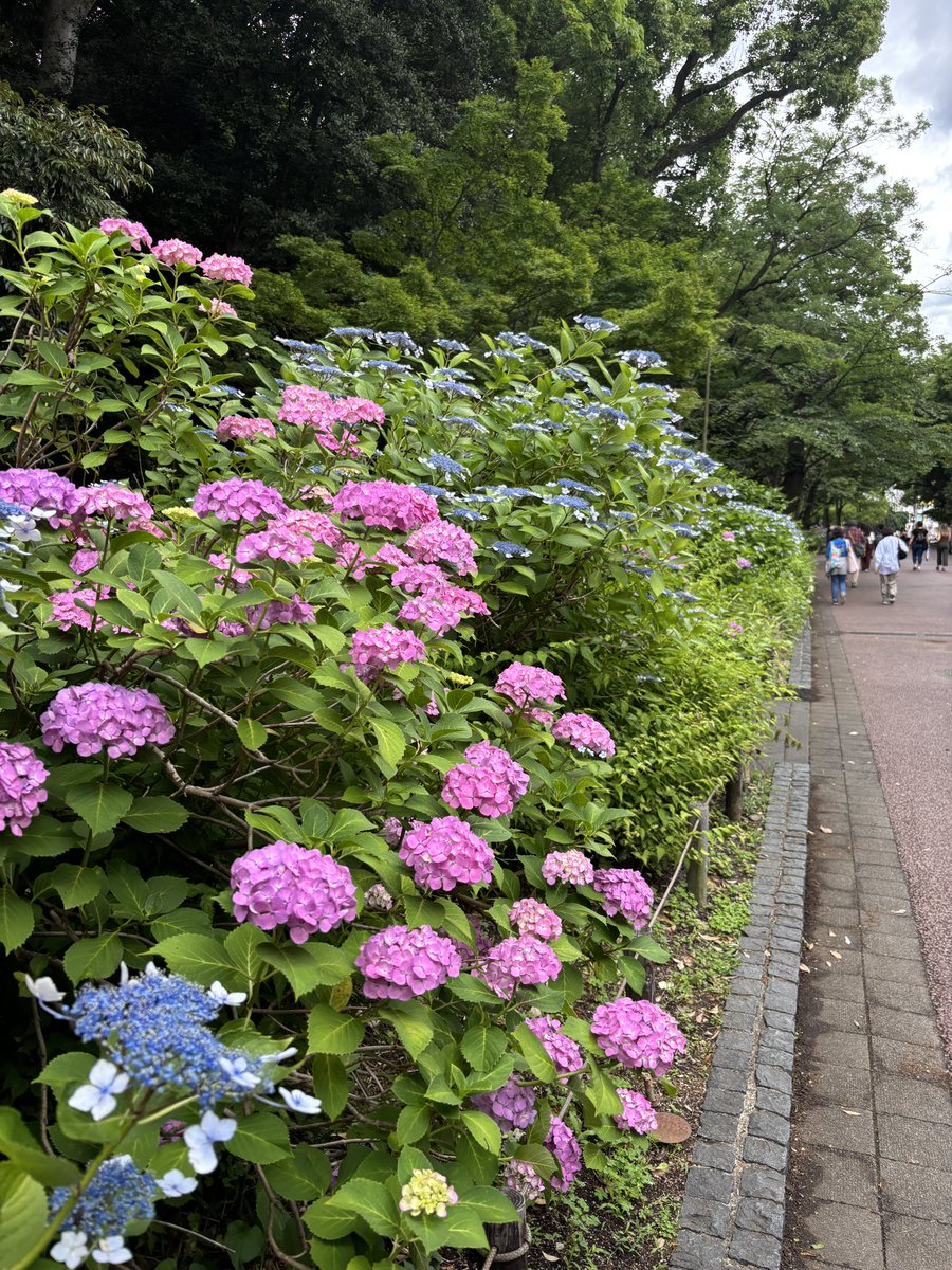 23Wards's tweet photo. 卒酒3457日

毎日曇り気味のお天気
そんな季節だよねー
今日も頑張ろう！
#断酒 https://t.co/hPby7bVXLm