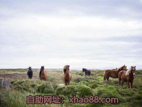 k_agah36539's tweet photo. telegram注册 纸飞机收不到验证码
电报收不到验证码 电报怎么添加群组
高级版
电报大会员 纸飞机改中文 https://t.co/83GdwjY04e