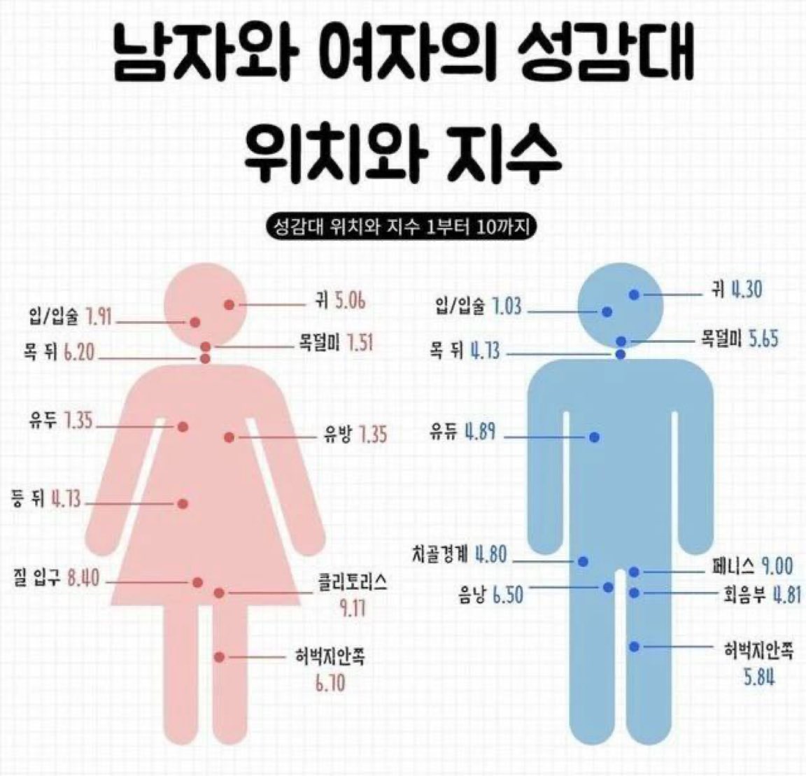 King_James_Kim's tweet photo. 남녀 성감대 위치와 지수 https://t.co/YrfTwR3dRX