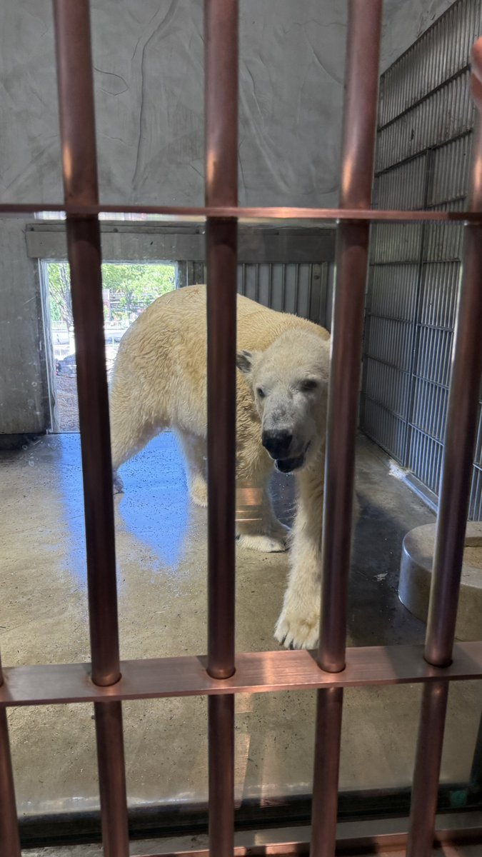 rika_shirase's tweet photo. おはよーん！
どこの動物園でしょうか！ https://t.co/NDulECQQFA