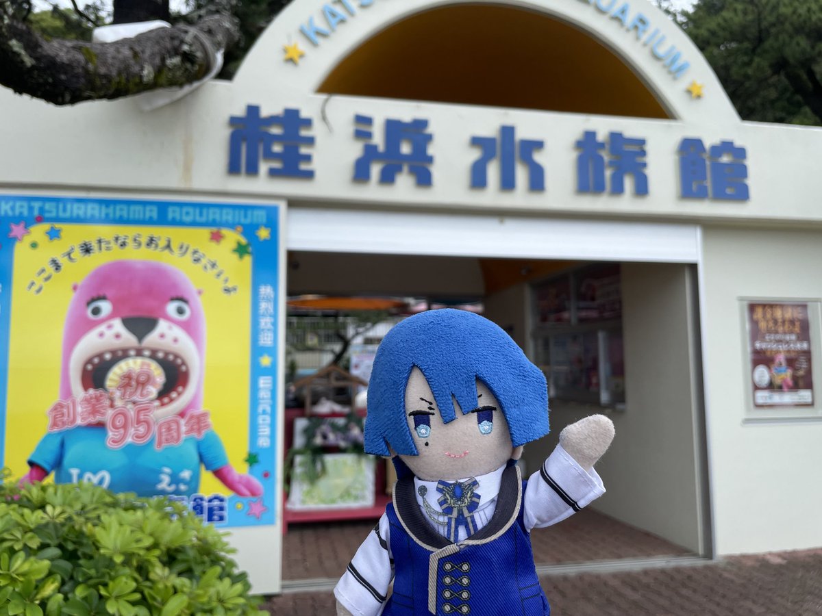 k______'s tweet photo. 桂浜水族館！ぬいが写ってない写真がないw https://t.co/L1P4yDiVPi