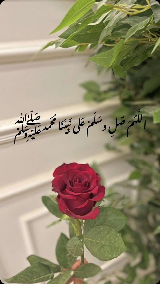 Qmiro's tweet photo. https://t.co/VgZw4KdJ0T