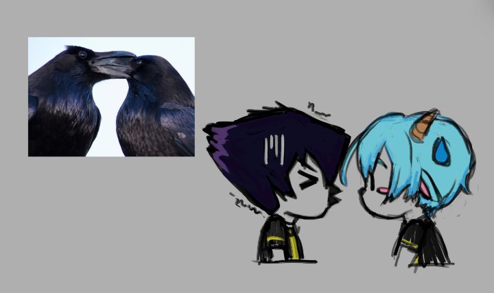 nessphoria__'s tweet photo. @rebelyelll_ i have done doodles of them here and there and i alsolove them so ill prolly do more in the future🫡🫡 https://t.co/DKWknRcm9O
