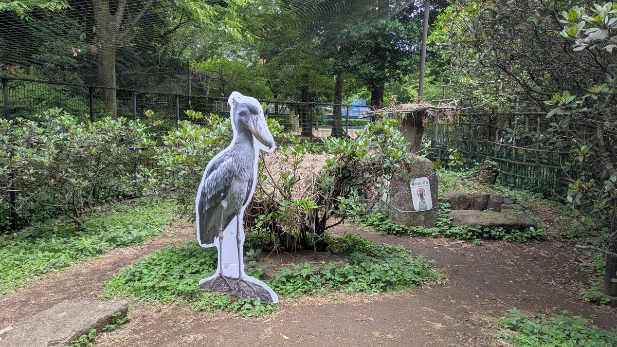 jp_mutsu's tweet photo. なんと！！！ https://t.co/fr2sYz5pis