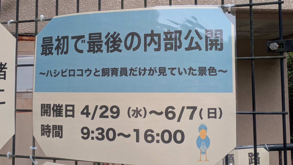 jp_mutsu's tweet photo. なんと！！！ https://t.co/fr2sYz5pis