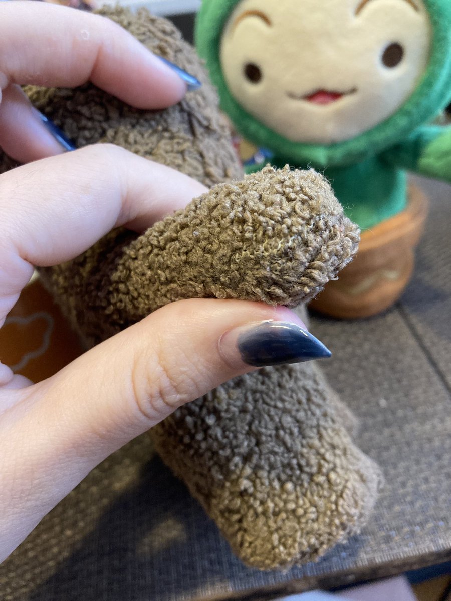 dddd_domo's tweet photo. もこついてきた！ https://t.co/lf2v6dw3Gk