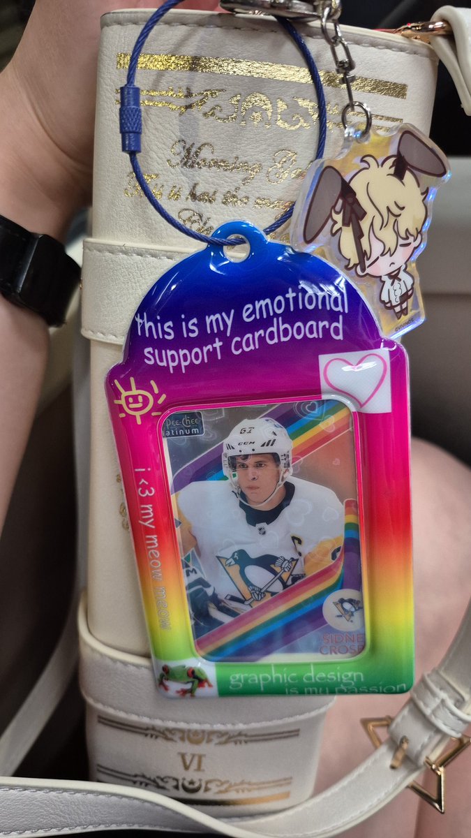 sidneigh horsby ✧ rei 🏎️🏒 tweet media