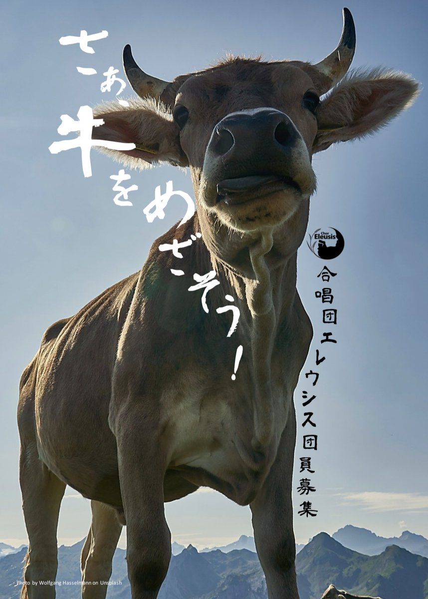 ChorEleusis's tweet photo. 合唱団エレウシス団員募集中♪
グレゴリオ聖歌からJ. S. バッハまでをレパートリーとするアマチュア混声合唱団。 毎週水曜18:45-21:15(第1･3江戸川区、第2･4 JR大森駅付近公共施設)月2回土曜18-21:00(江戸川区、大森駅付近施設)◎指導･指揮:櫻井元希 ◎見学お申し込み🫱🏻 https://t.co/1rd20wPpuG https://t.co/iQ52ZyY8HH