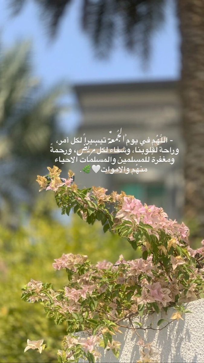 reeem6326's tweet photo. ٠٠
" اللهم في صبـاحِ يوم الجمعة نسألك سِعة صدر كسمائك، كأرضِك ،كشيءٍ واسعٍ لا يضِيق ٠٠ اللهّم خير الأيام وخير ما يُرضينا"���️
#صباح_الخير_والسعادة_للجميع https://t.co/8YKD1gIrOd