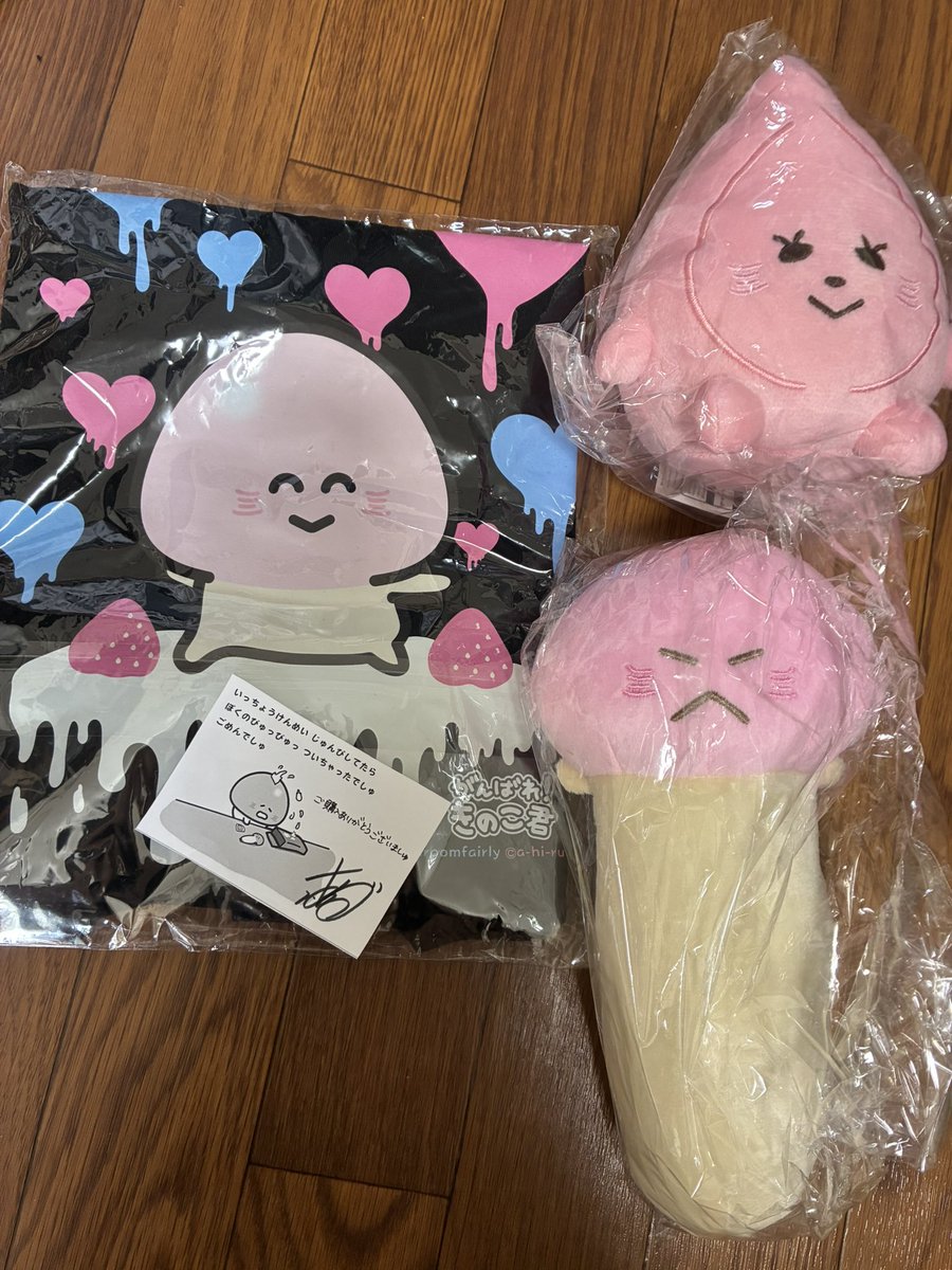 お迎えしてくれてありがとうでしゅ🍄💕 ぽくとびらこしゃんもいっちょ