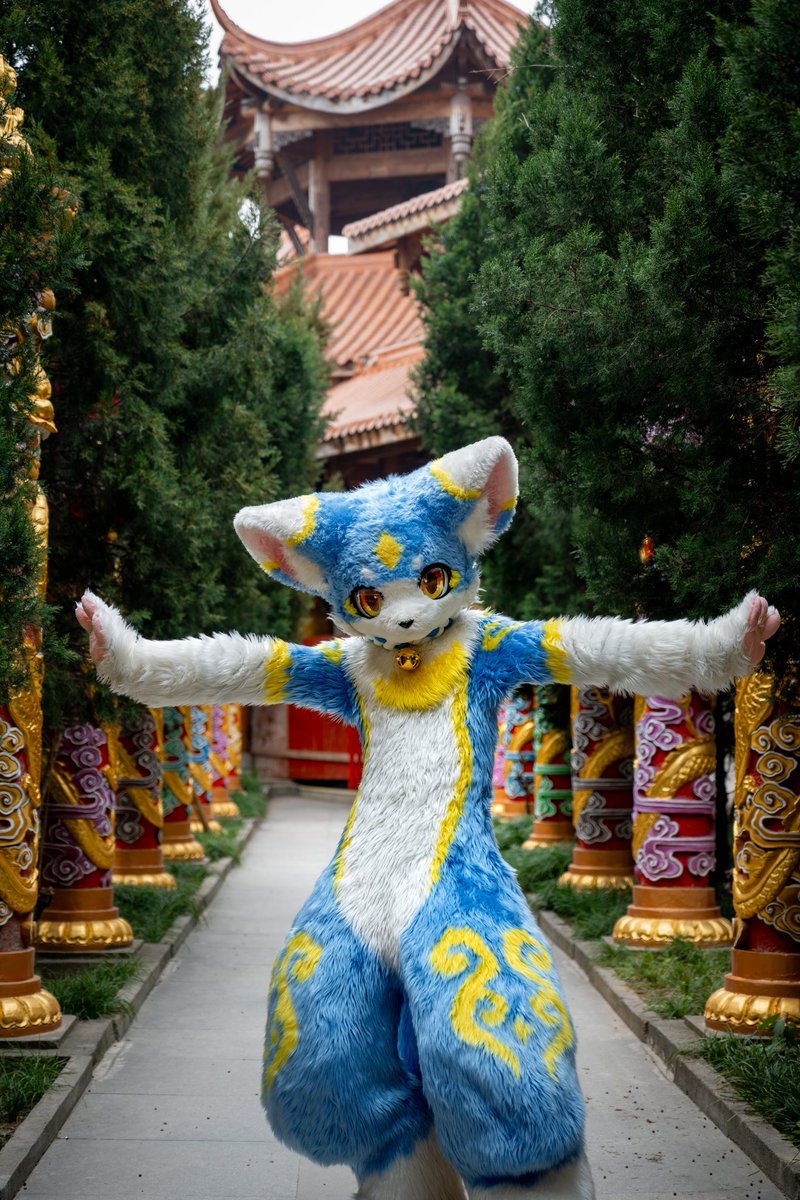 Tention_BNU's tweet photo. #FursuitFriday
领域展开！
别想着逃跑啦！哇哈哈哈哈哈
​📷：辰芒 https://t.co/UA8vx6STZ6