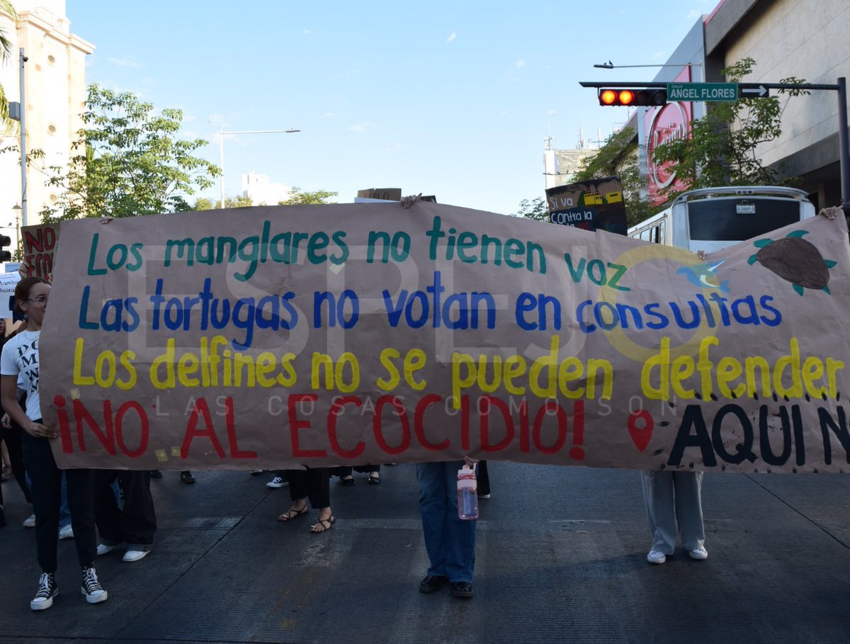 EspejoRevista's tweet photo. Al grito de ¡Aquí No! Se manifiestan en #Culiacán  en defensa de la Bahía de Ohuira, #Topolobampo https://t.co/3CXCTk9tTC