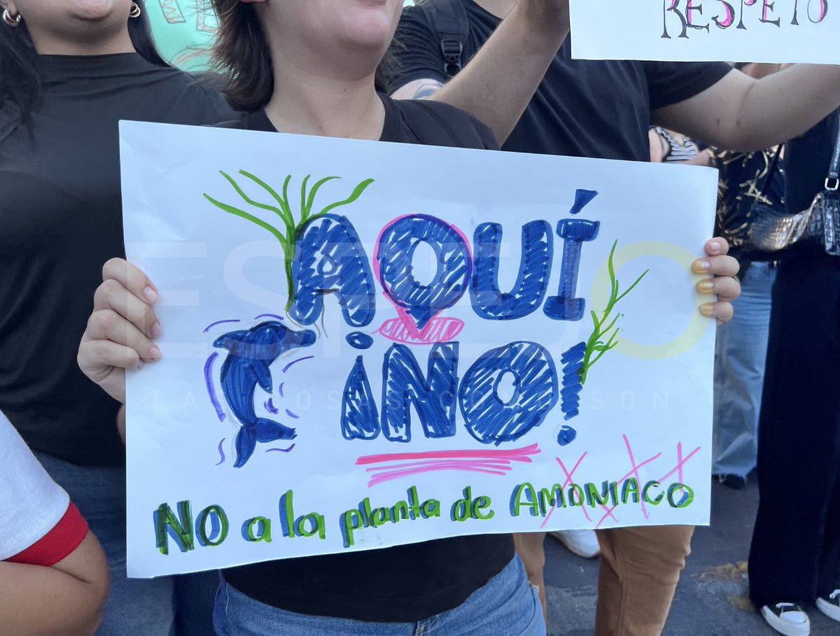 EspejoRevista's tweet photo. Al grito de ¡Aquí No! Se manifiestan en #Culiacán  en defensa de la Bahía de Ohuira, #Topolobampo https://t.co/3CXCTk9tTC