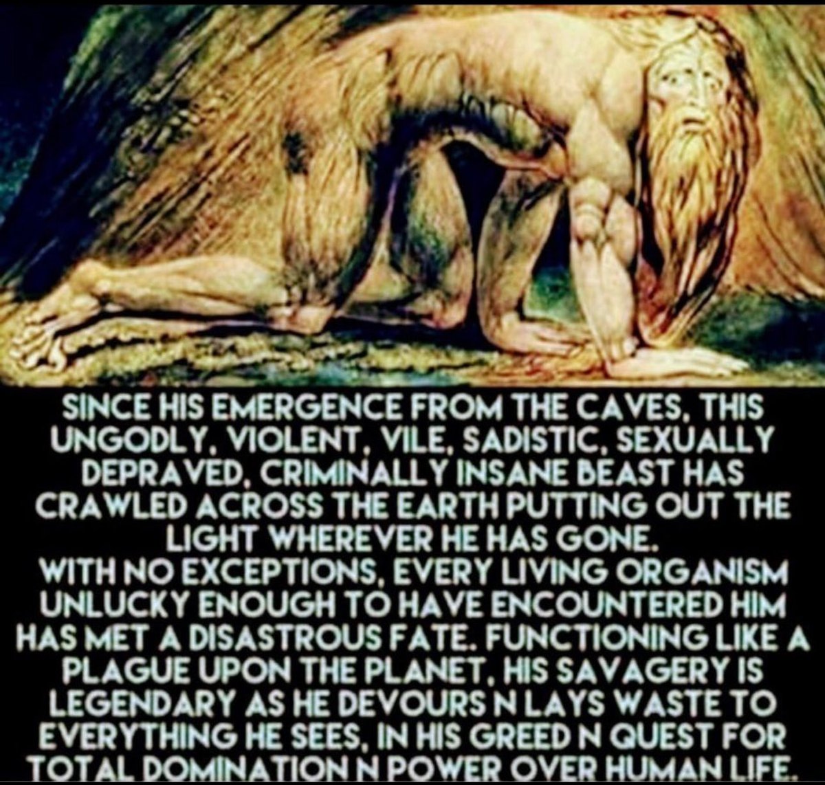 PowersDecoded's tweet photo. @isailinares6 @SeeRacists Cope and seethe, Neanderthal. We know who the real feral group is. https://t.co/7PC70fwdYm