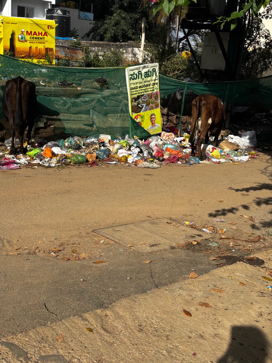 padma5's tweet photo. @GBA_office @krishnabgowda . Dear Sir as you take oath once again to office as an elected rep of our constituency solid waste management remains an issue in our locality. Despite repeated complaints the issue is not resolved. https://t.co/drANBM1IXt
