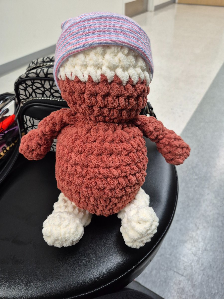 LadyEvalina's tweet photo. Baby's first hat is now with baby's first stuffy. 

They were going to toss the hat, I said "No, I'll make a doll for it"

#crochet #grandbaby https://t.co/fudBRaUjT1