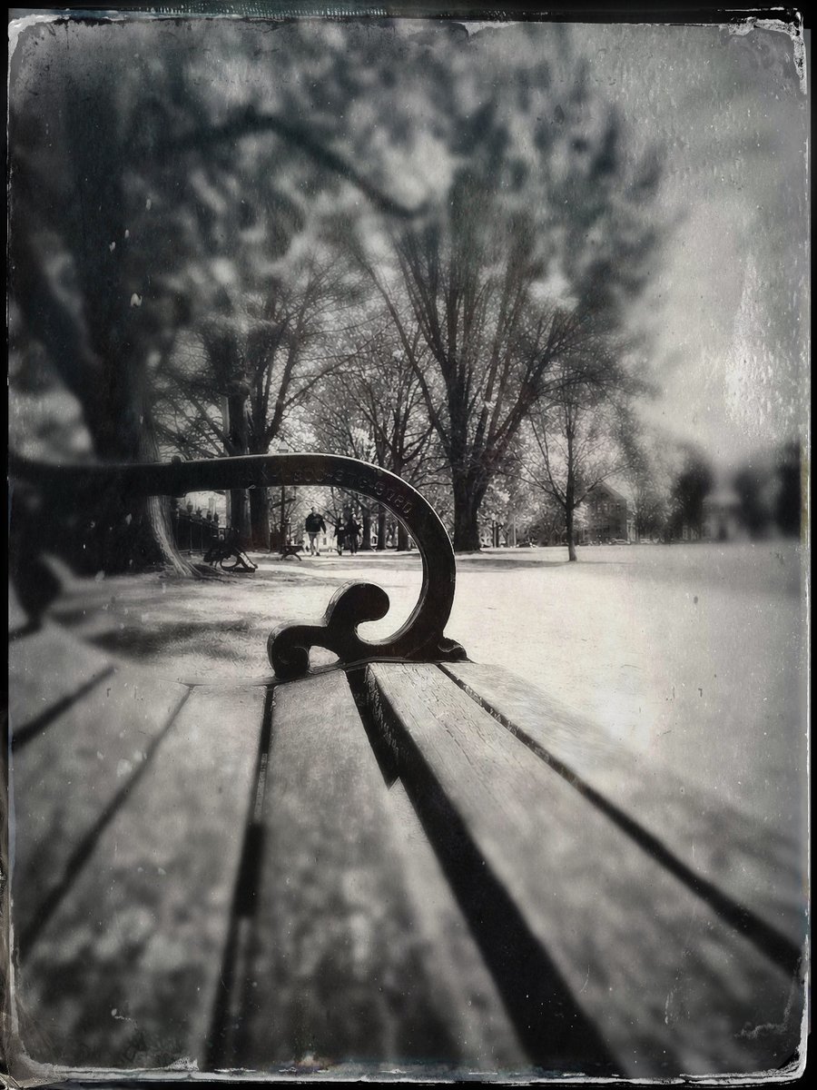 Peterciccarielo's tweet photo. Diminuendo on the Salem Common https://t.co/UKiWPhe6Y0 https://t.co/Db6pGxUqnp