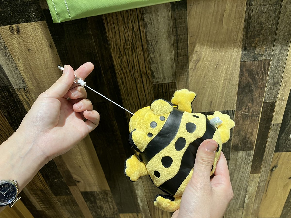THESTUDYROOMuen's tweet photo. 「カエルのリールパスケース」🐸🪷
こちらぬいぐるみのようなパスケースになっていてリール付きで伸びるようになっております
こちらの商品はBASEでも掲載中でございます✨
「BASE」URLはコチラ⤵︎
https://t.co/zHCjfwpbWr
スタッフ🍀
#thestudyroom
#thestudyroom上野 https://t.co/a7CXJH6m02