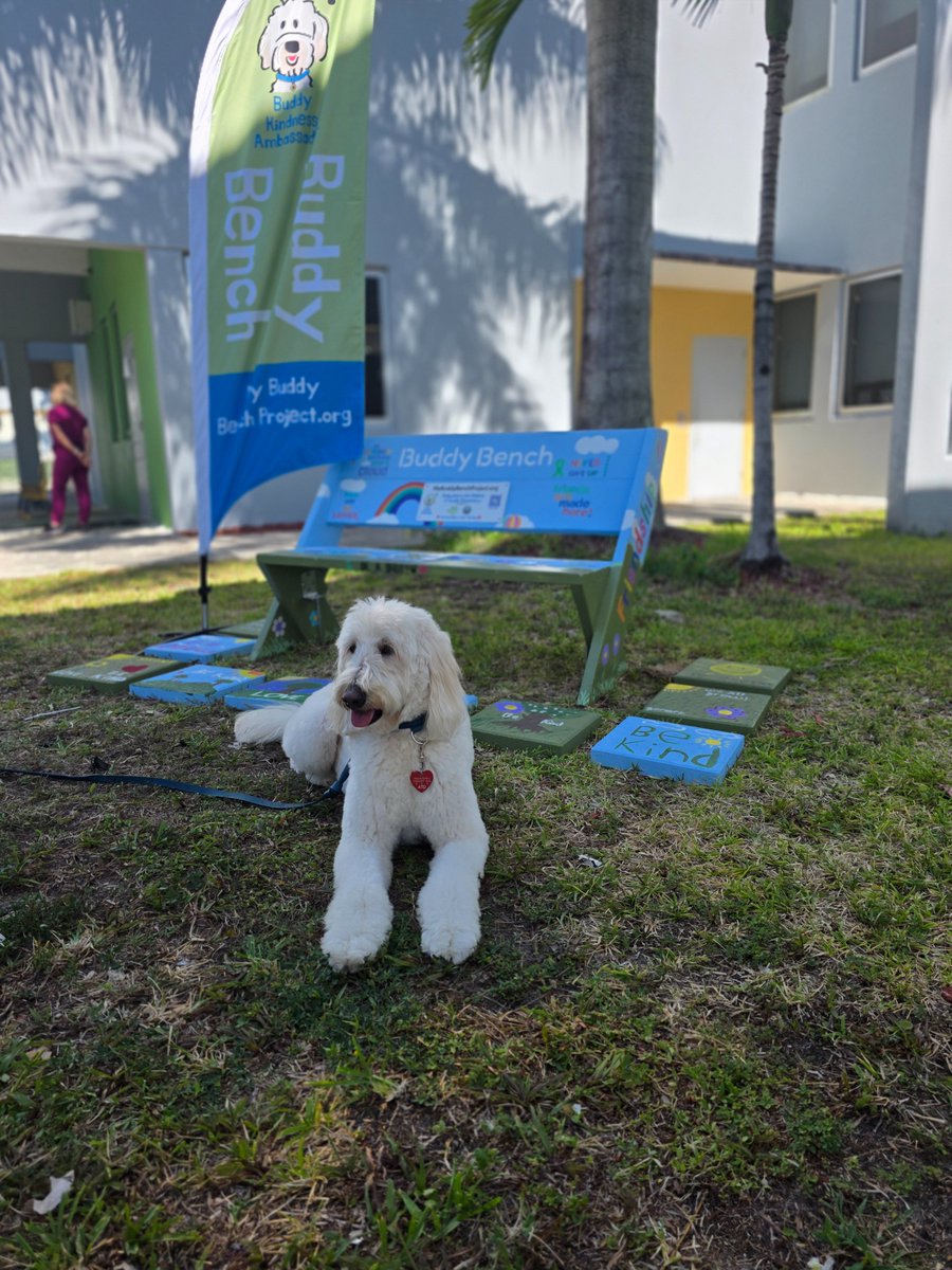 MyBuddyBenchPro's tweet photo. Meet Buddy. 🐾💙As our Certified Therapy Dog and Kindness Ambassador, Buddy helps create meaningful moments of connection wherever he goes. Learn more at https://t.co/hBxEAU7mV6

#MyBuddyBenchProject #BuddyTheTherapyDog #KindnessAmbassador #KindnessInAction https://t.co/bUuuhXF8vO