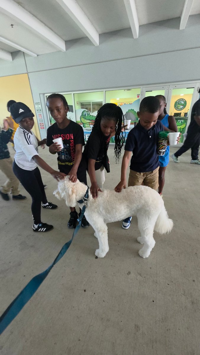 MyBuddyBenchPro's tweet photo. Meet Buddy. 🐾💙As our Certified Therapy Dog and Kindness Ambassador, Buddy helps create meaningful moments of connection wherever he goes. Learn more at https://t.co/hBxEAU7mV6

#MyBuddyBenchProject #BuddyTheTherapyDog #KindnessAmbassador #KindnessInAction https://t.co/bUuuhXF8vO