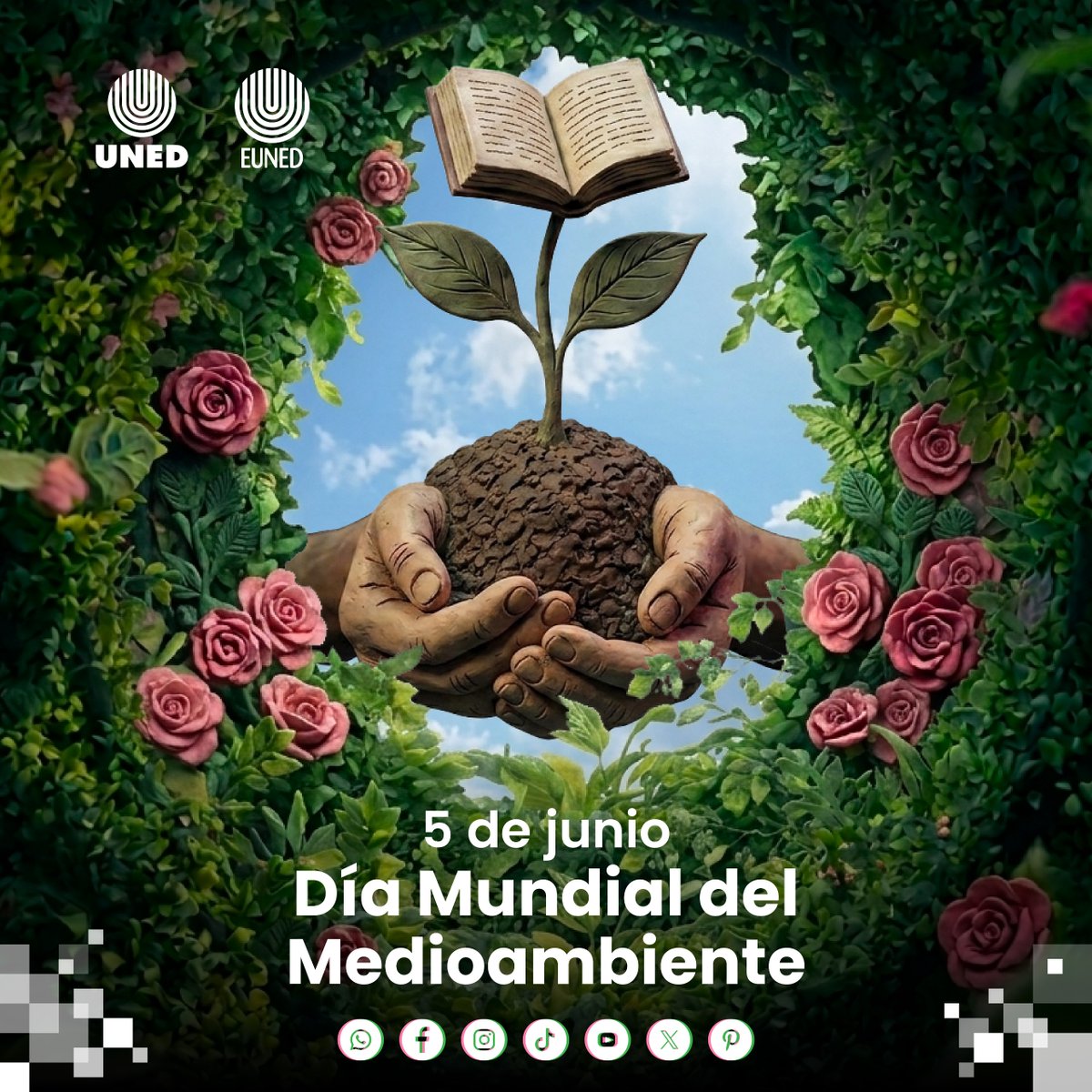 editorial_uned's tweet photo. 🌎📚 #DíaMundialDelMedioAmbiente
Cada libro puede ser una semilla de cambio. 🌱 En la EUNED nos sumamos al llamado mundial a la acción climática con TALI. Talleres ambientales lúdicos infantiles.

📖 Disponible en Librerías UNED:
https://t.co/sxS2dVkfcW  🌍💚 https://t.co/QdPW3ZC2sI