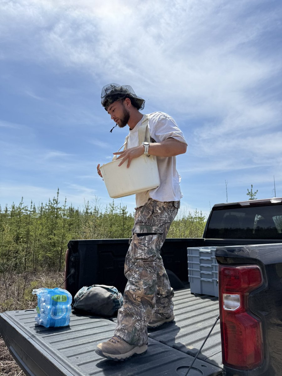 BasedSupps's tweet photo. The harvest goes on https://t.co/hHl5CE2jg0