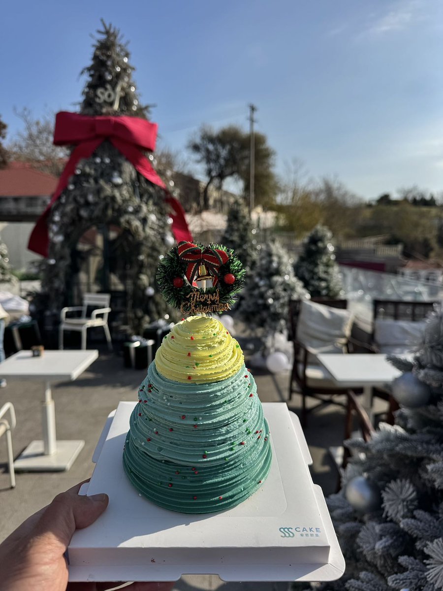 EmRehm's tweet photo. [Today’s little win: a perfectly cut festive cookie for Christmas! ]， https://t.co/vMmK2ctOhm